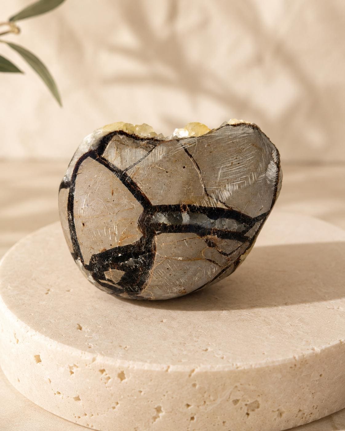 Reverse view of Druzy Septarian Dragon Stone piece SR
