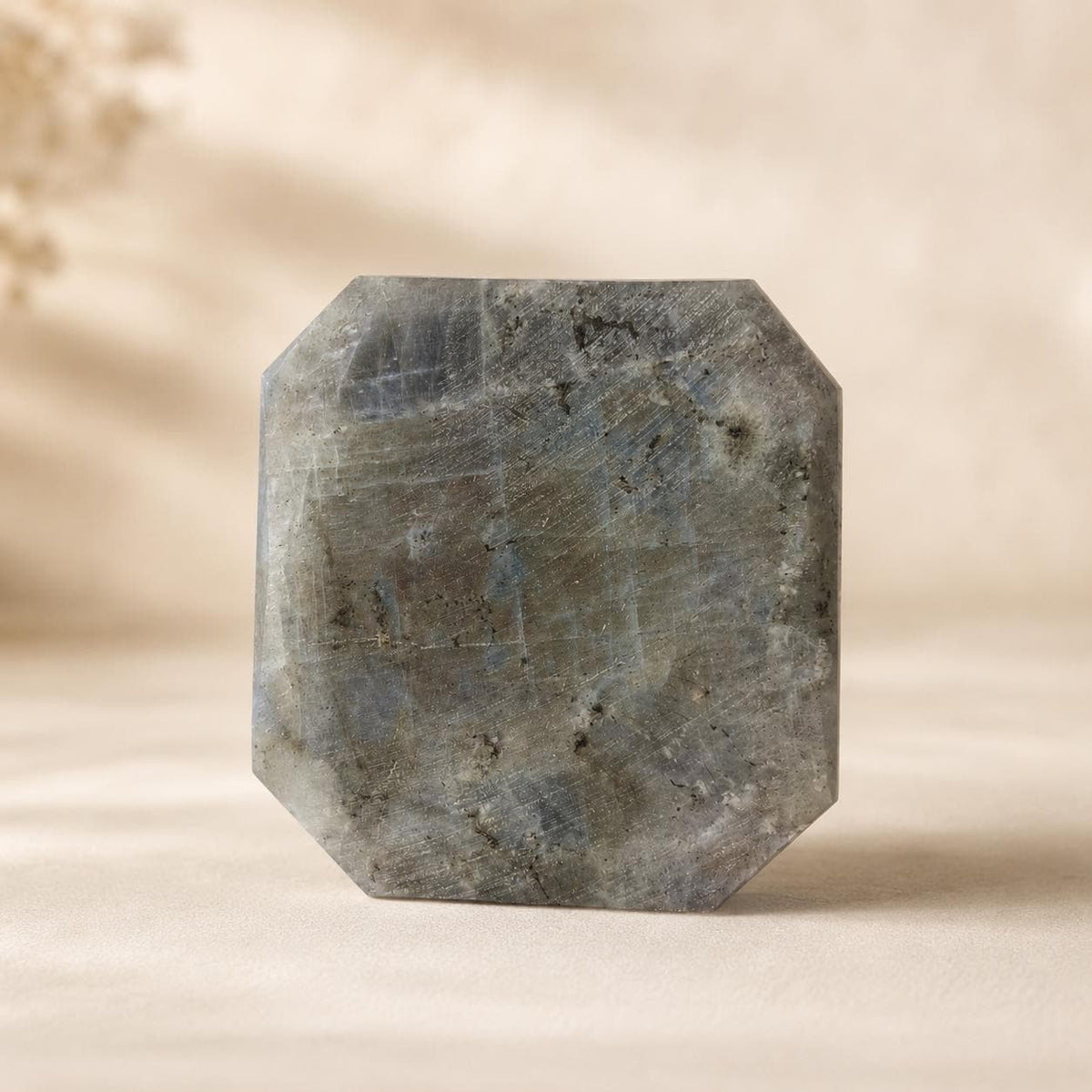Polished Labradorite butterfly carving showing natural grey patterning – reverse view
