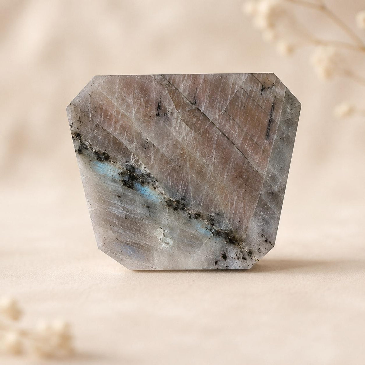Polished Labradorite butterfly carving showing natural blue flash – reverse view