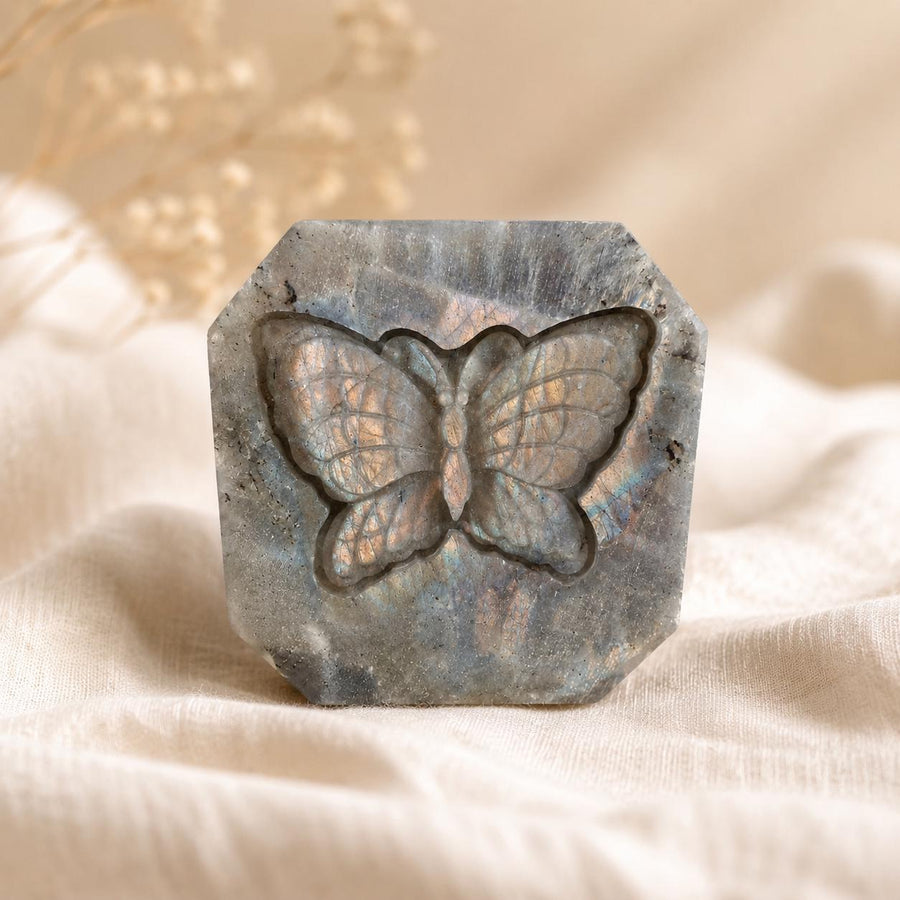 Polished Labradorite butterfly carving with warm natural flash – front view