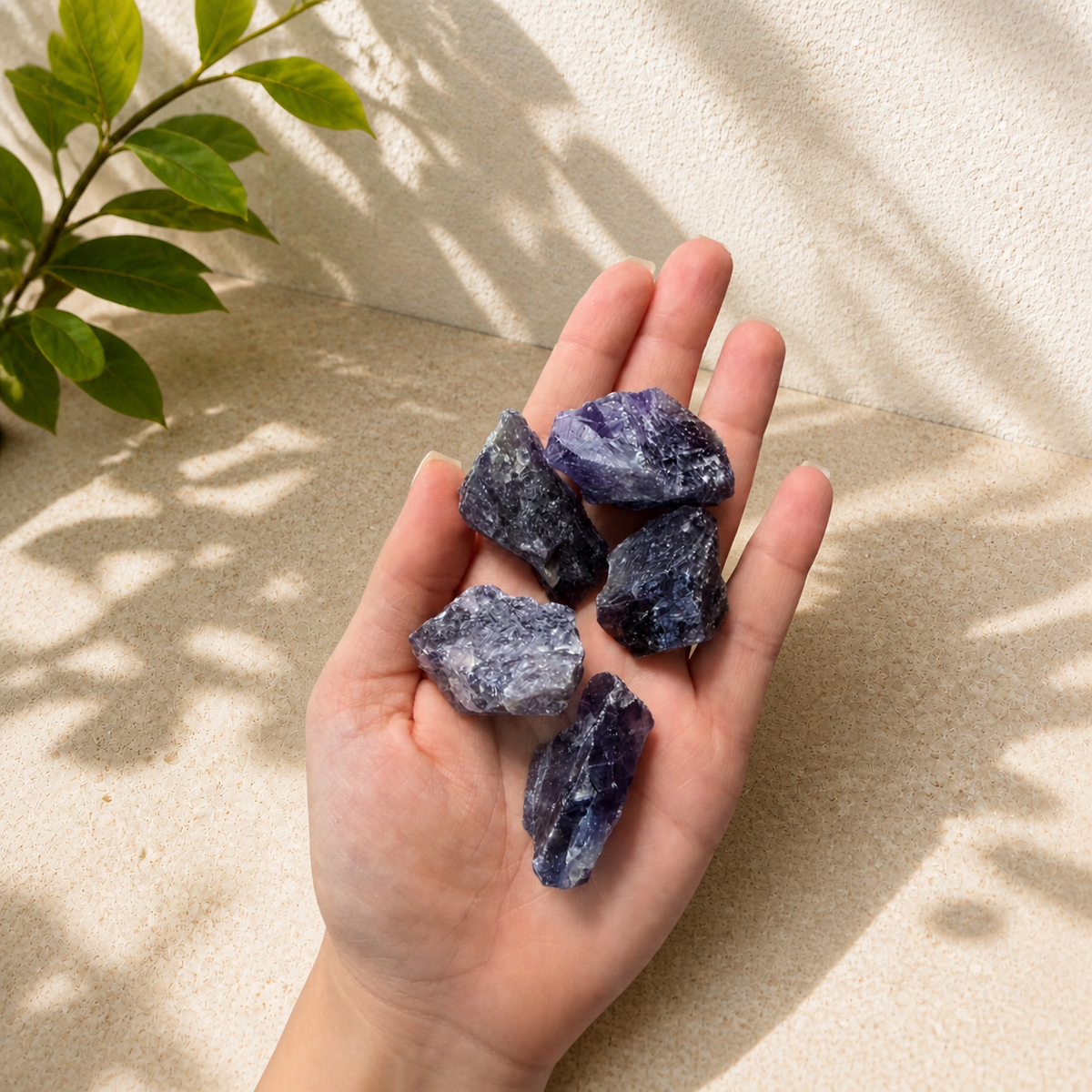 Hand holding raw amethyst pieces to show approximate size and scale