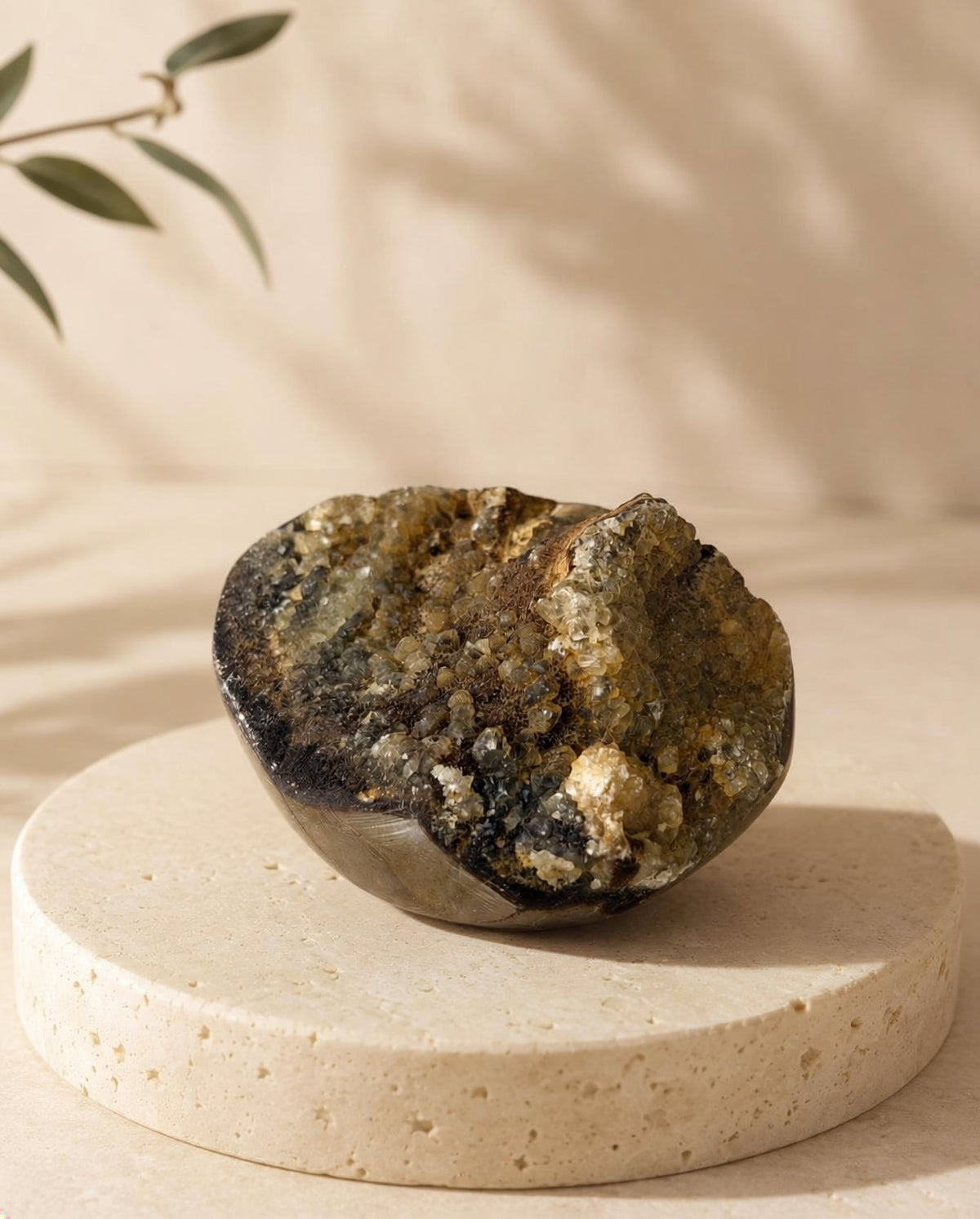 Druzy Septarian Dragon Stone piece SQ on a cream travertine platform