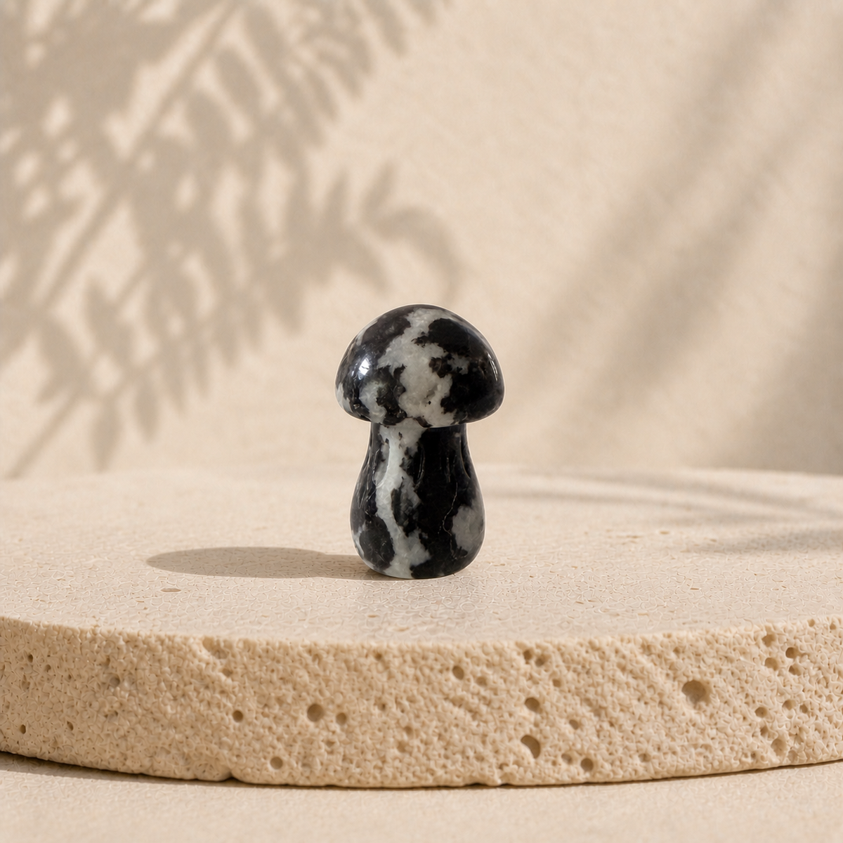 Polished black and white Black Tourmaline crystal mushroom carving