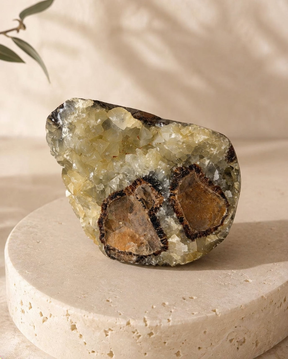 Druzy Septarian Dragon Stone piece SR on a cream travertine platform