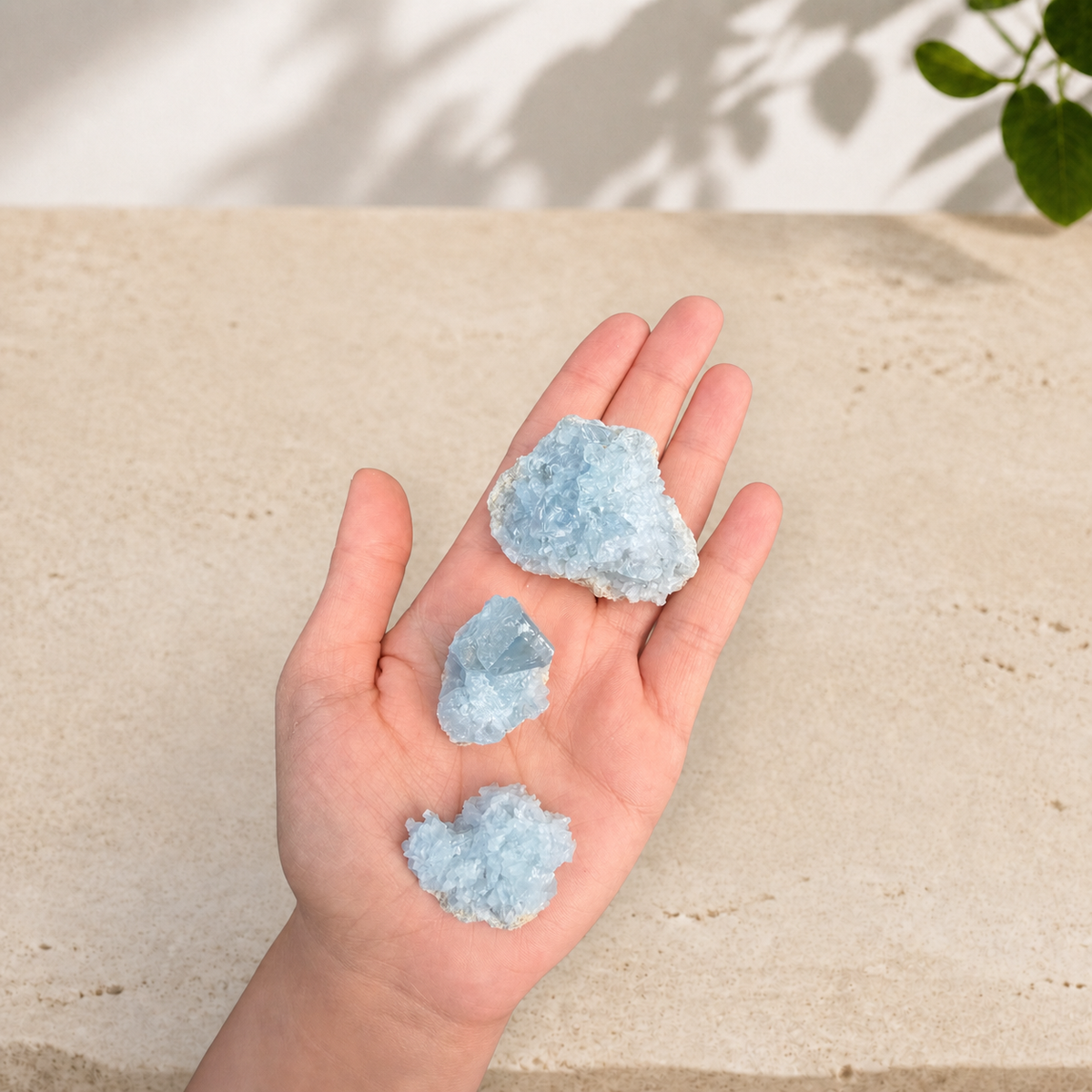 Three blue celestite clusters resting in an open hand to show their approximate scale.