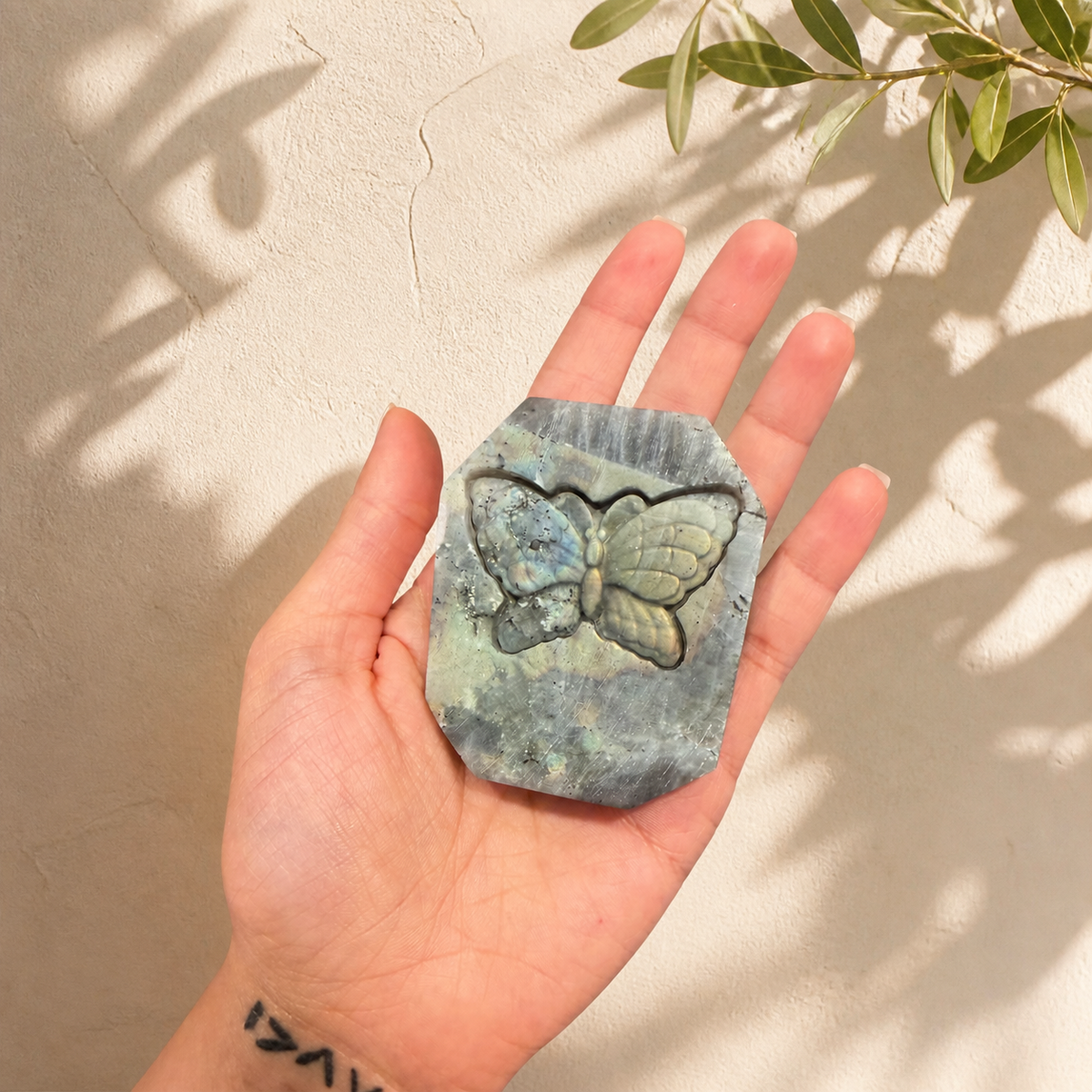 Large Labradorite butterfly carving held in hand for size reference