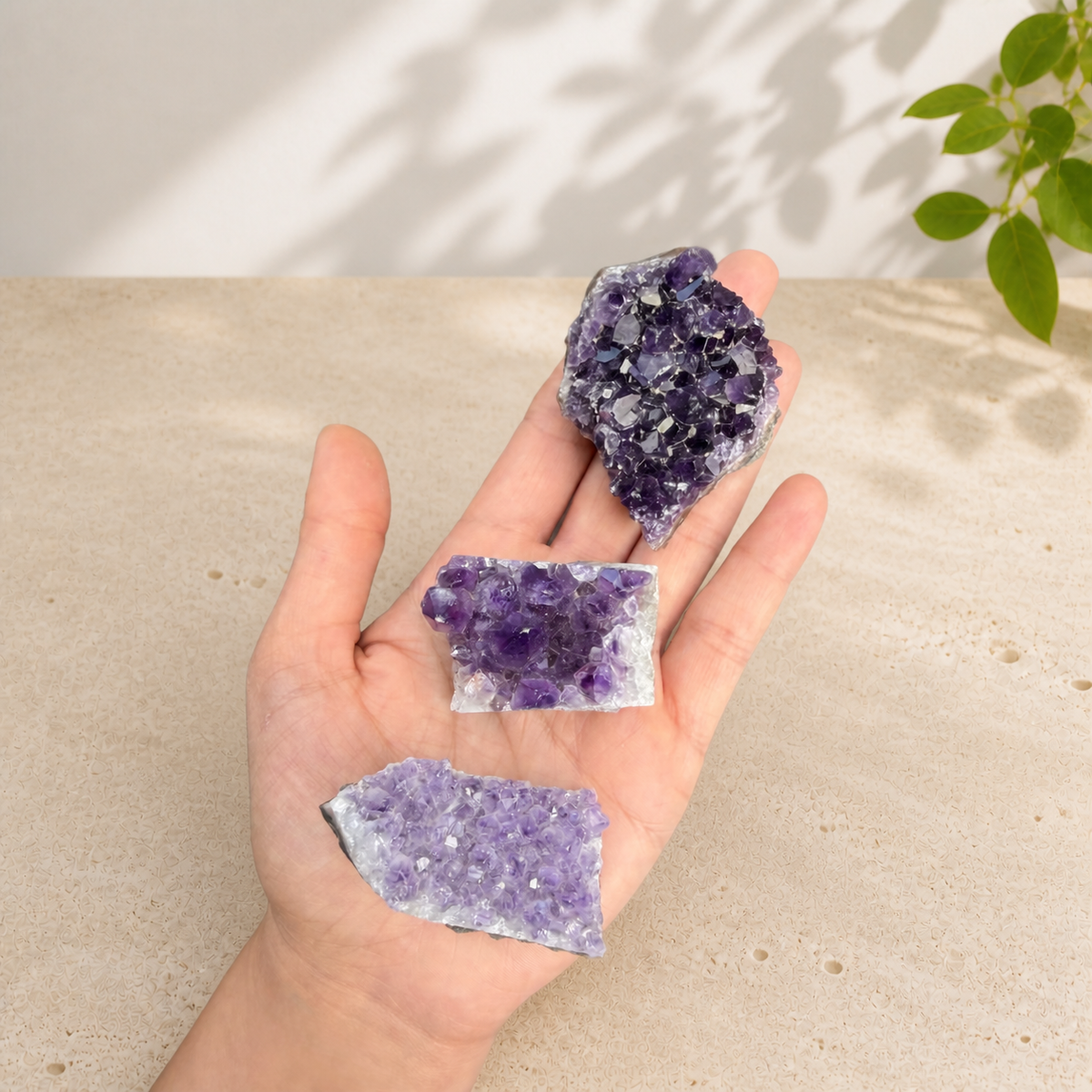Three amethyst clusters in an open hand, showing their natural purple colour variations and approximate scale.