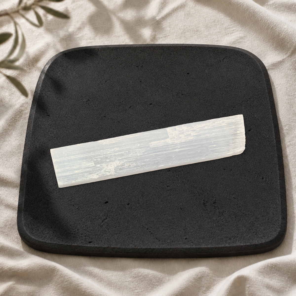 Large satin spar gypsum wand showing its natural fibrous texture on a black limestone plate.