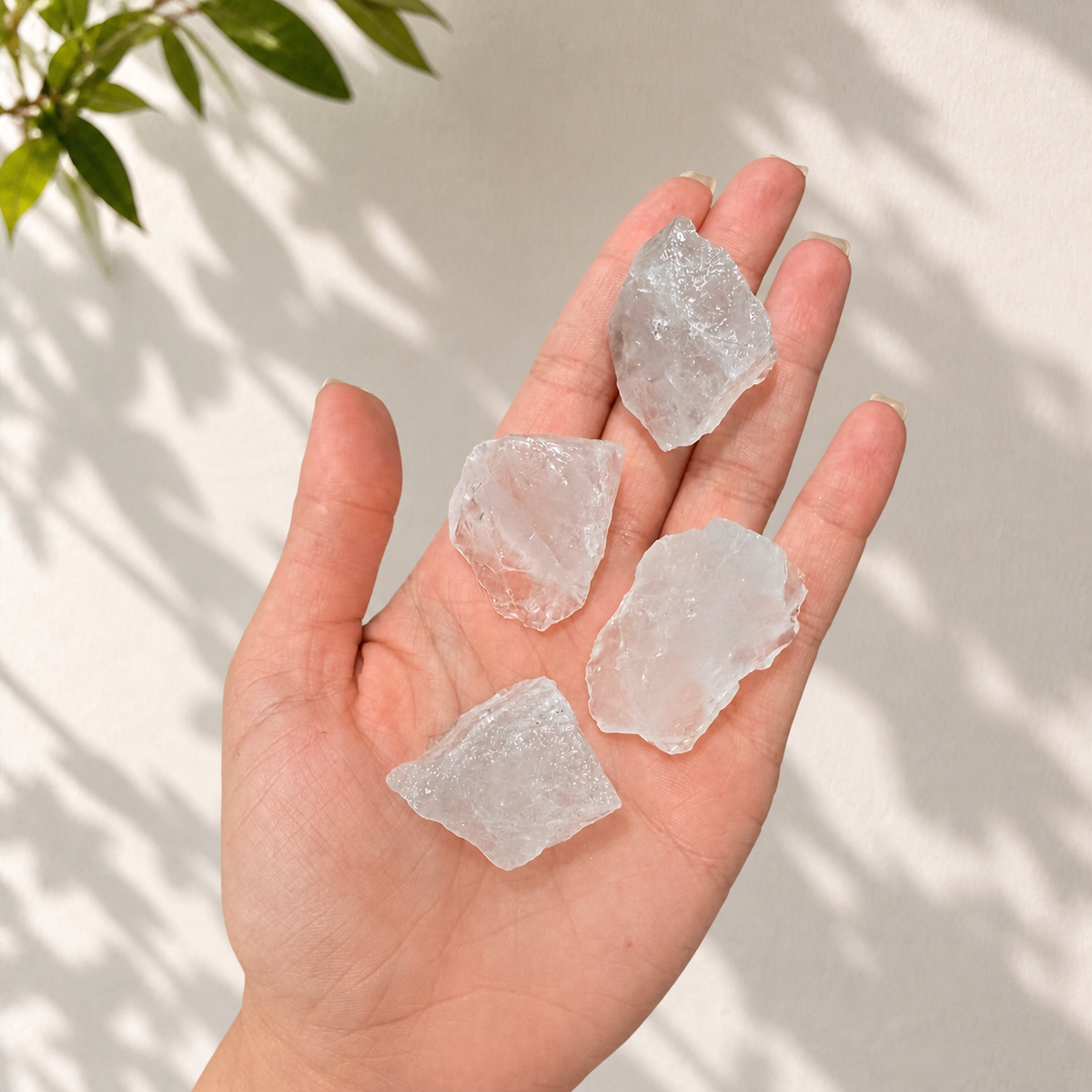 Hand holding raw Clear Quartz pieces to show approximate size and scale