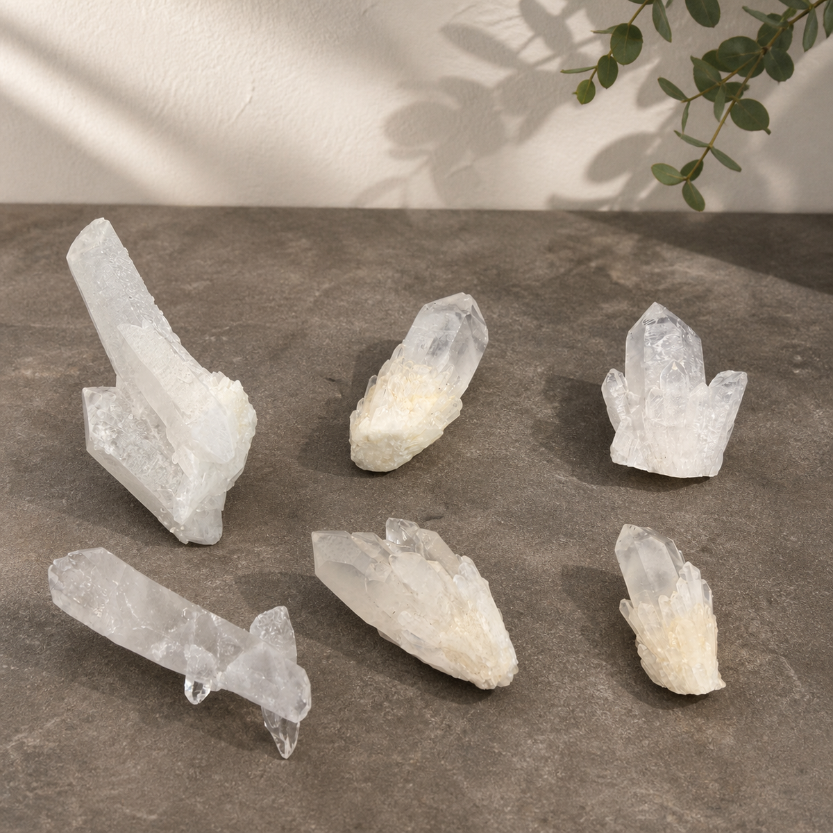Natural Clear Quartz point clusters in small and medium sizes arranged on warm taupe stone