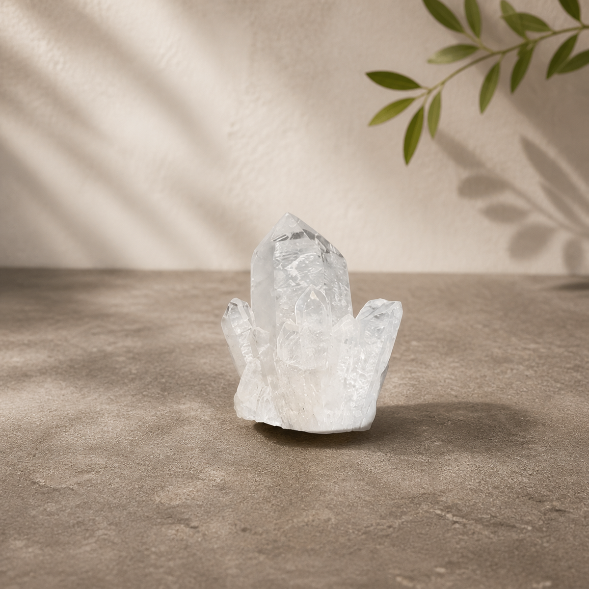 Natural Clear Quartz point cluster with multiple clear crystal points