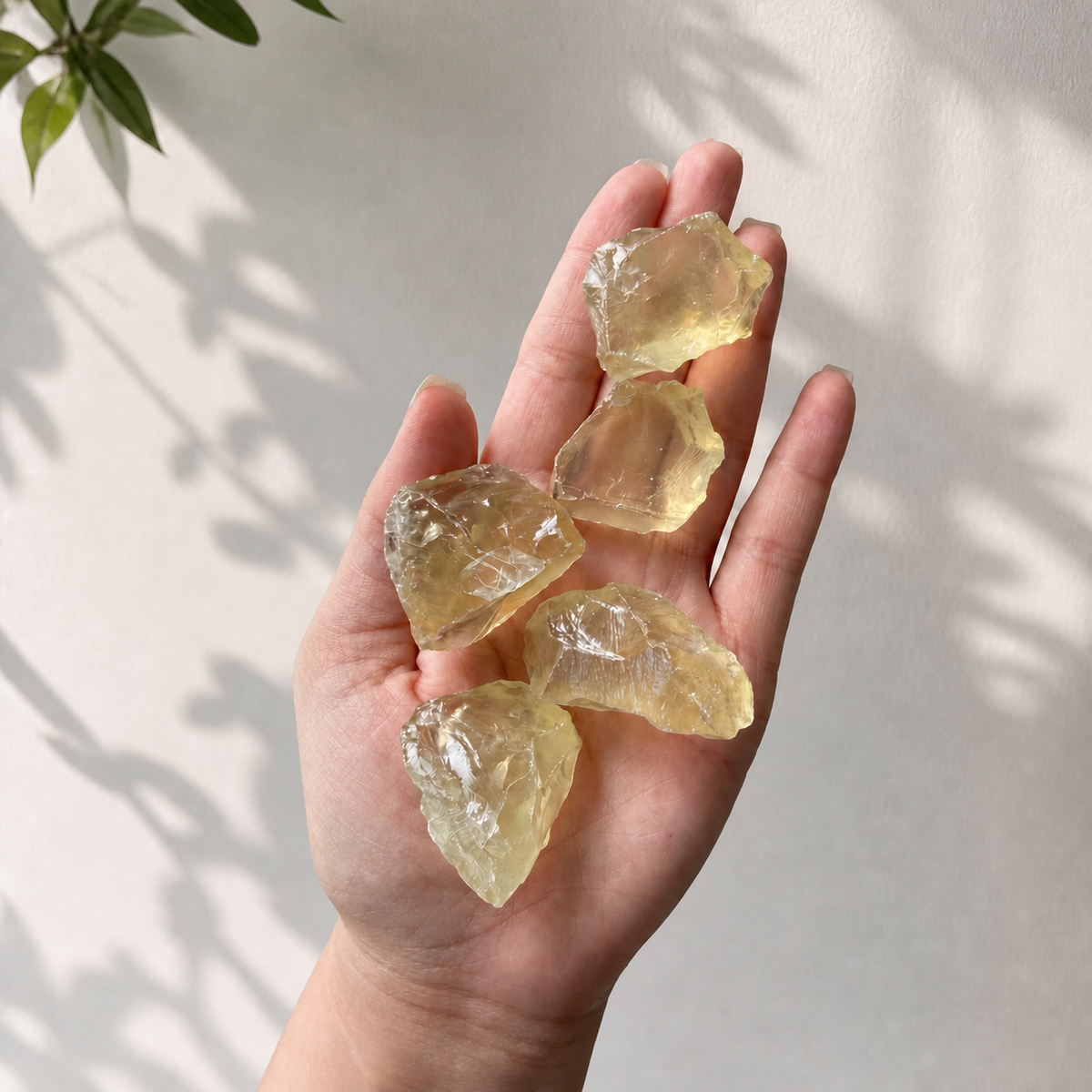 Hand holding raw Citrine pieces to show approximate size and scale