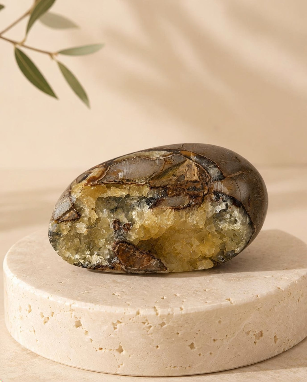 Druzy Septarian Dragon Stone piece SP on a cream travertine platform