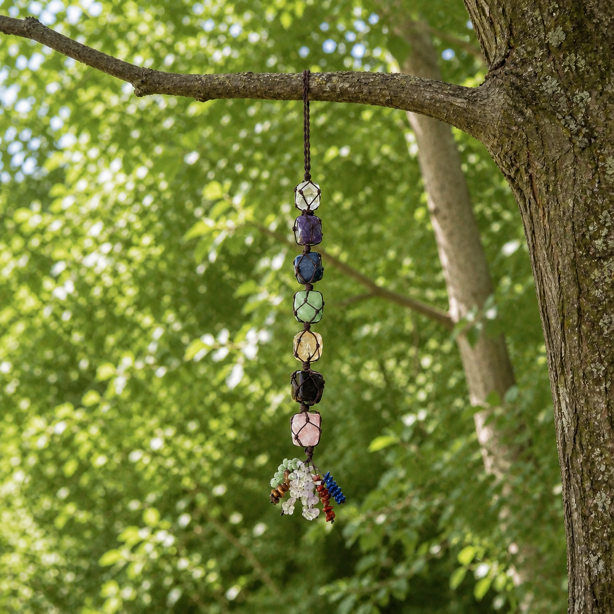 Full Seven Chakra Talisman hanging straight from a tree branch outdoors